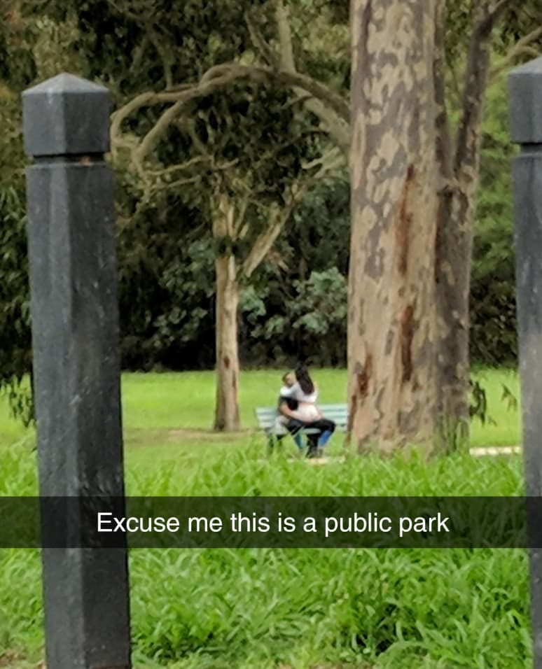 tree - Excuse me this is a public park